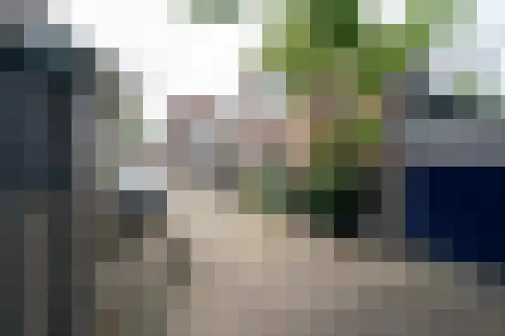2e Tuindwarsstraat 35 Alkmaar thumbnail 22
