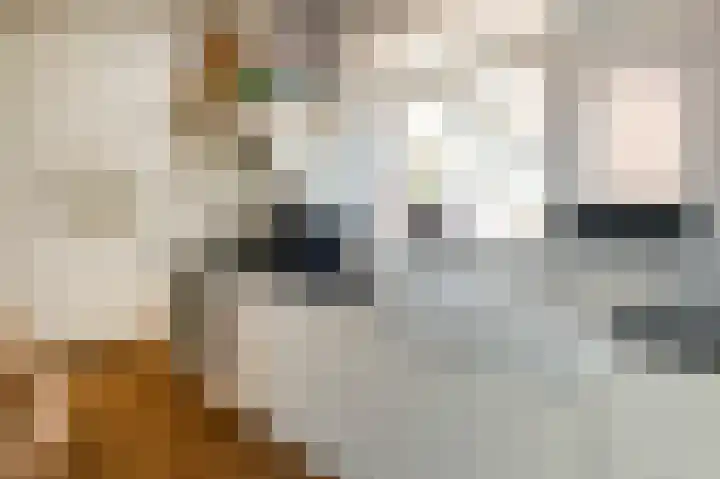 2e Valthermond 4 2e Valthermond thumbnail 19