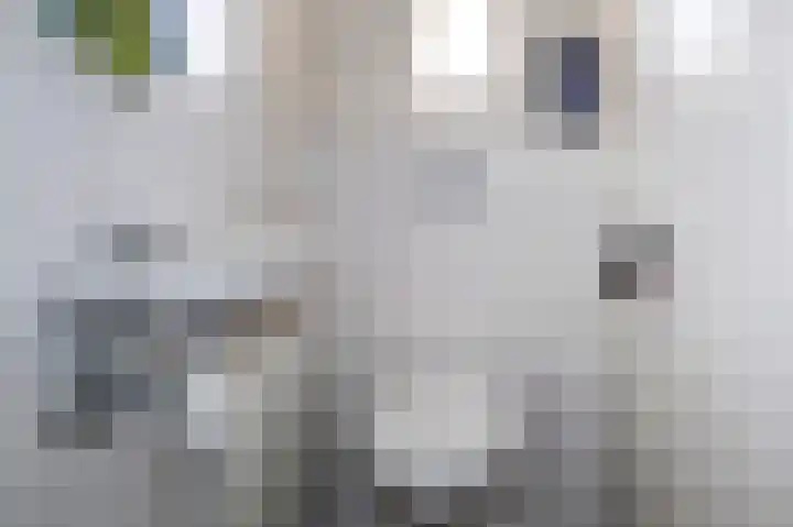 2e Valthermond 4 2e Valthermond thumbnail 22