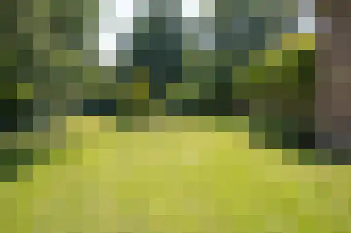 2e Valthermond 4 2e Valthermond thumbnail 34