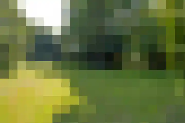 2e Valthermond 4 2e Valthermond thumbnail 35