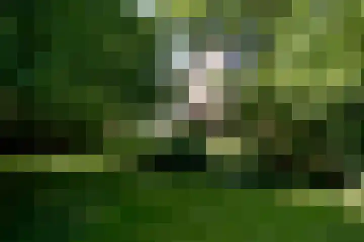 2e Valthermond 4 2e Valthermond thumbnail 37