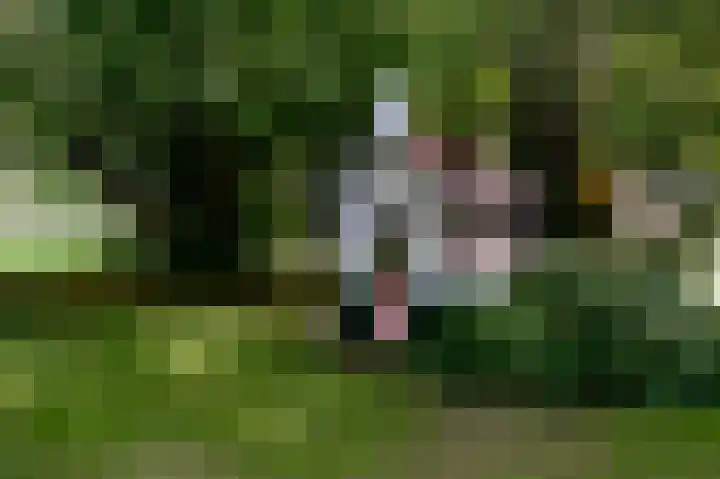2e Valthermond 4 2e Valthermond thumbnail 38