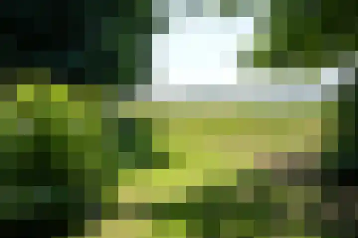 2e Valthermond 4 2e Valthermond thumbnail 39