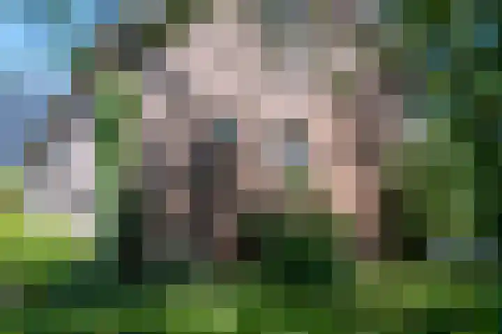 2e Valthermond 4 2e Valthermond thumbnail 40