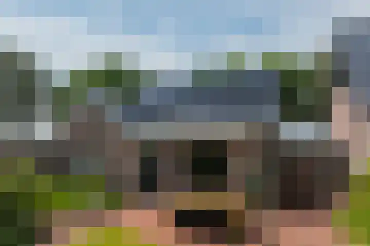 2e Valthermond 4 2e Valthermond thumbnail 42