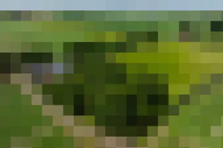 2e Valthermond 4 2e Valthermond thumbnail 45