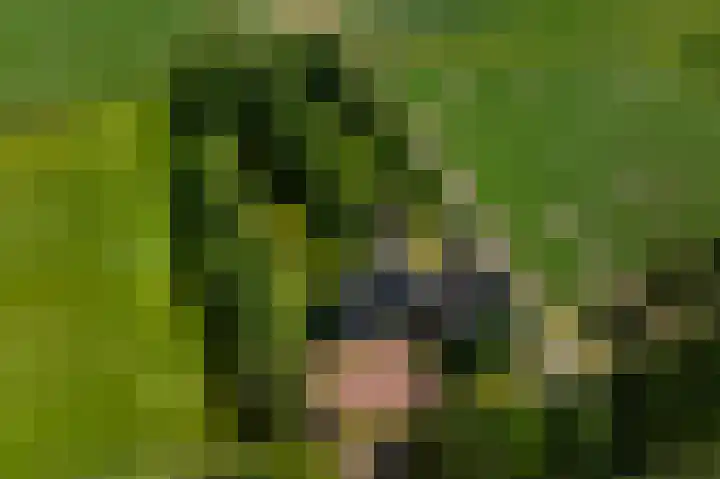 2e Valthermond 4 2e Valthermond thumbnail 46