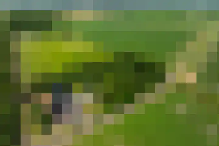 2e Valthermond 4 2e Valthermond thumbnail 50