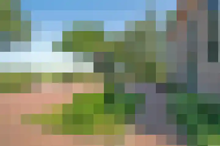 2e Valthermond 4 2e Valthermond thumbnail 6