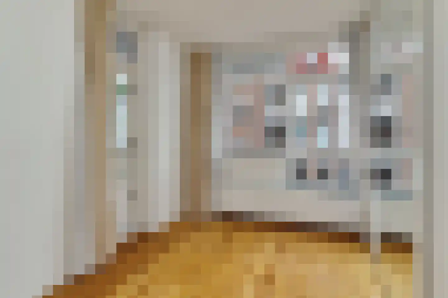2e Van Blankenburgstraat 109 G Den Haag thumbnail 23