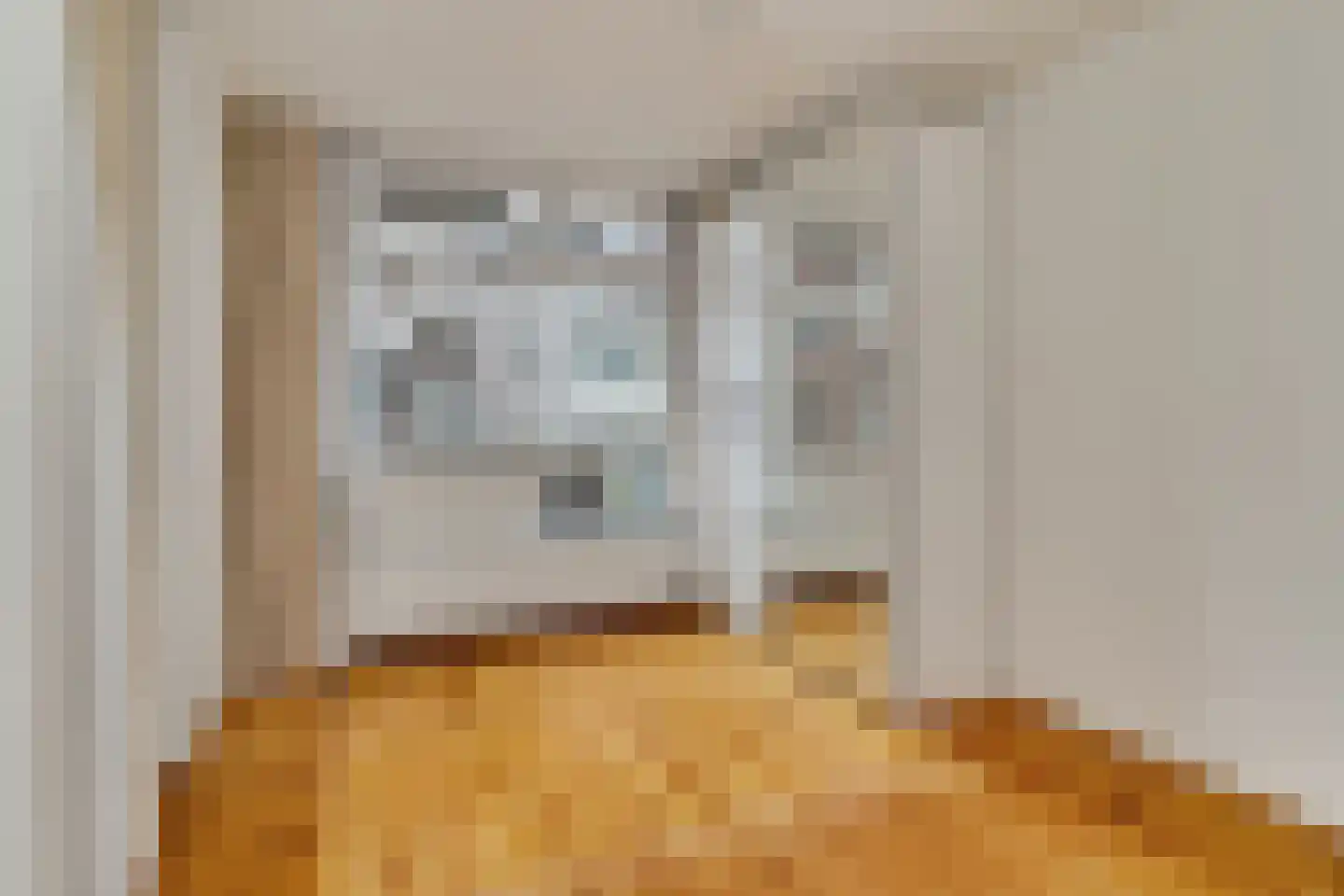 2e Van Blankenburgstraat 109 G Den Haag thumbnail 5