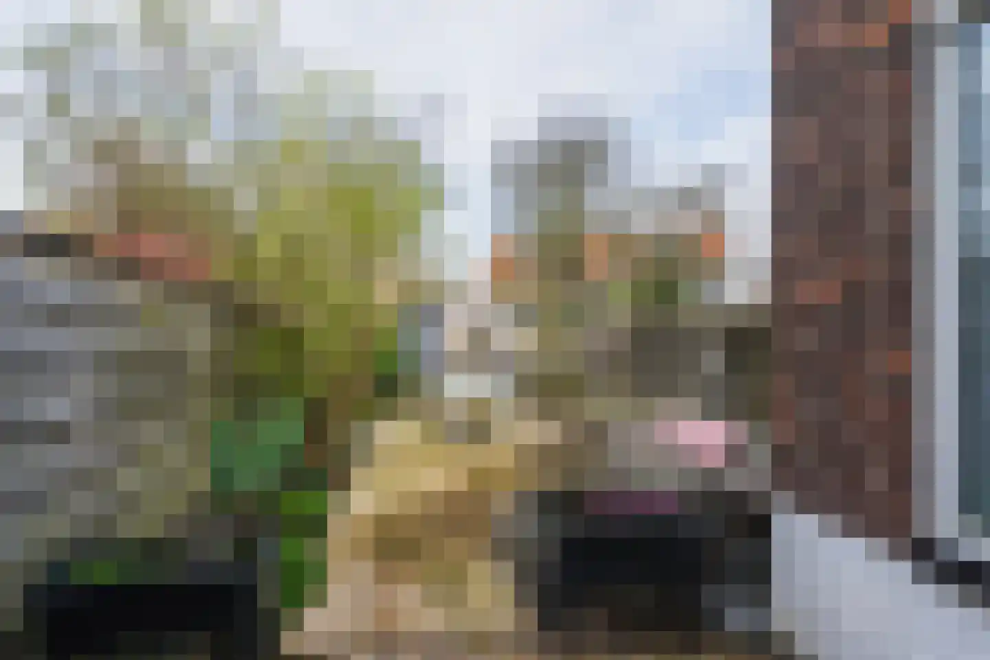 2e van Leyden Gaelstraat 117 Vlaardingen thumbnail 15