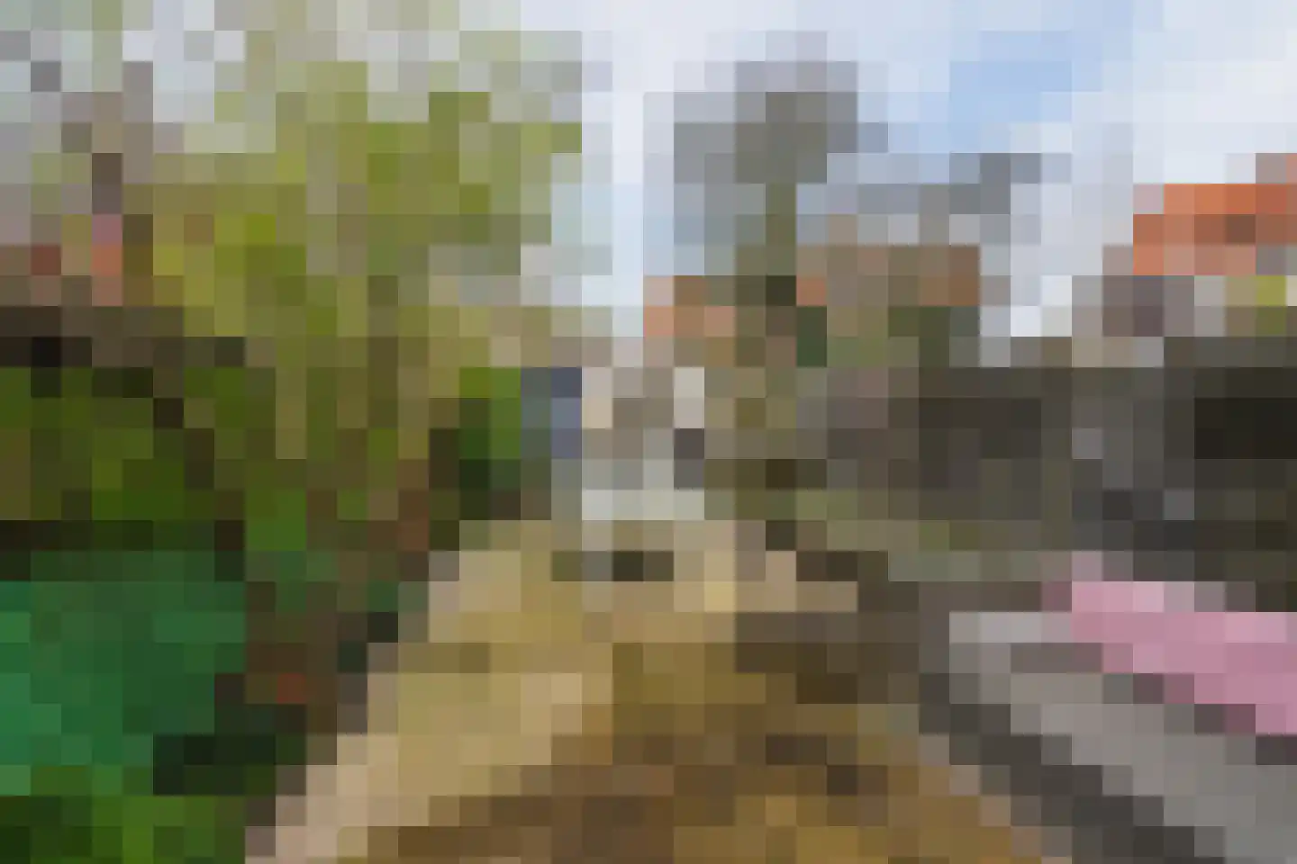 2e van Leyden Gaelstraat 117 Vlaardingen thumbnail 7