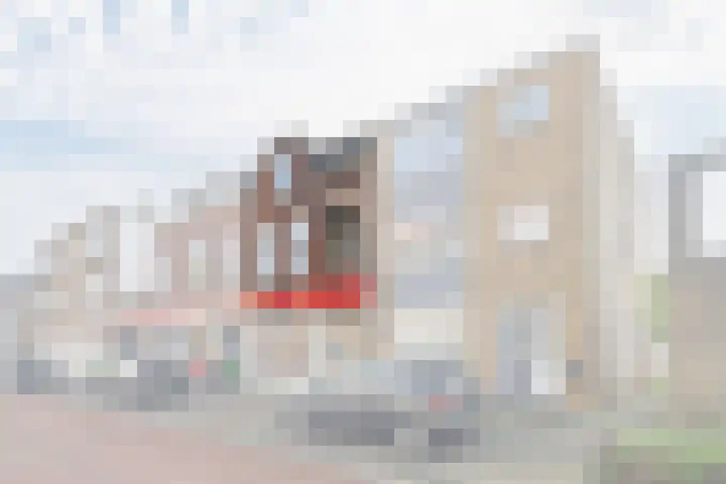 2e van Leyden Gaelstraat 6 Vlaardingen thumbnail 10