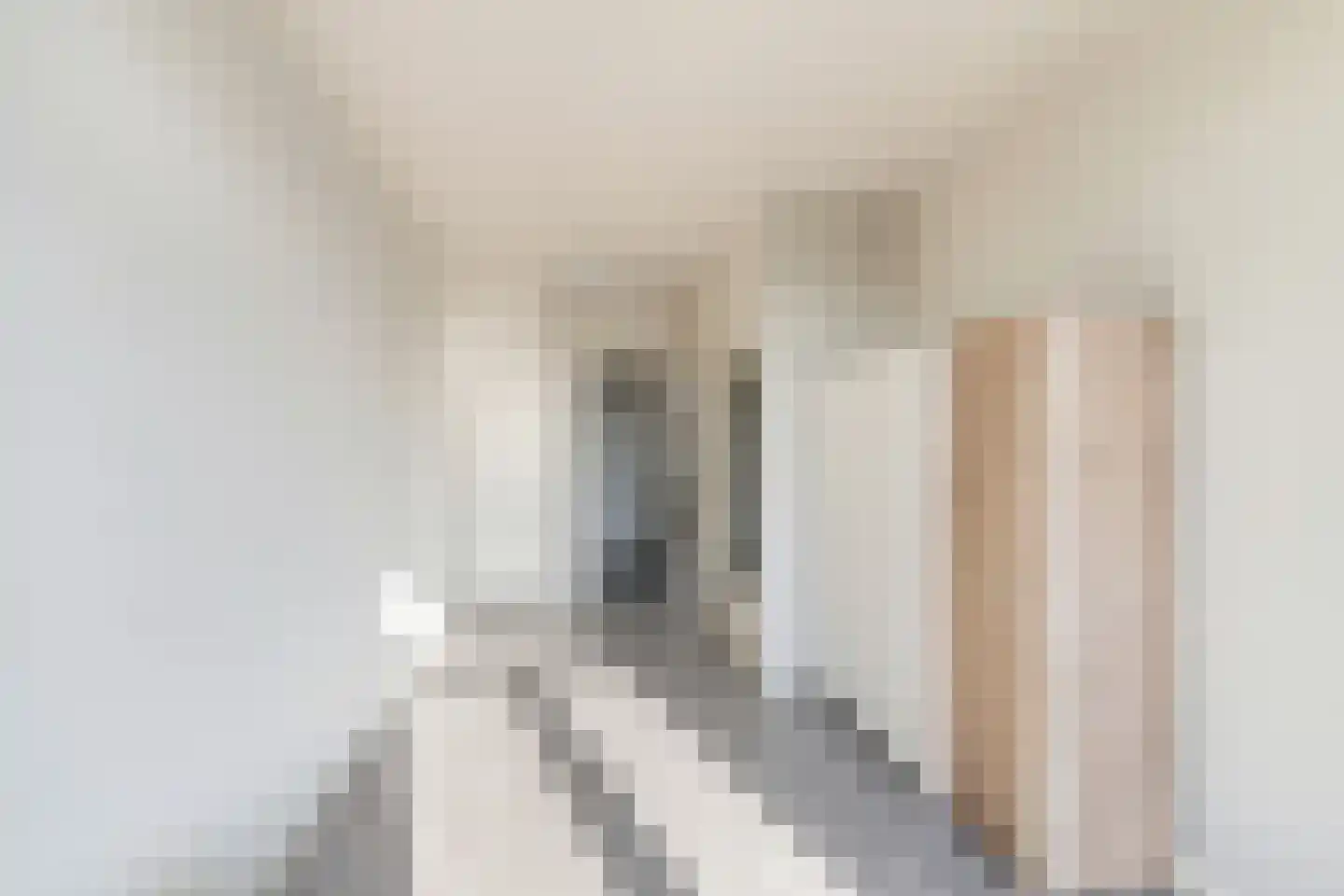 2e van Leyden Gaelstraat 6 Vlaardingen thumbnail 29