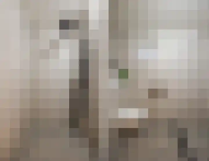 2e Verbindingsstraat 17 Terneuzen thumbnail 12