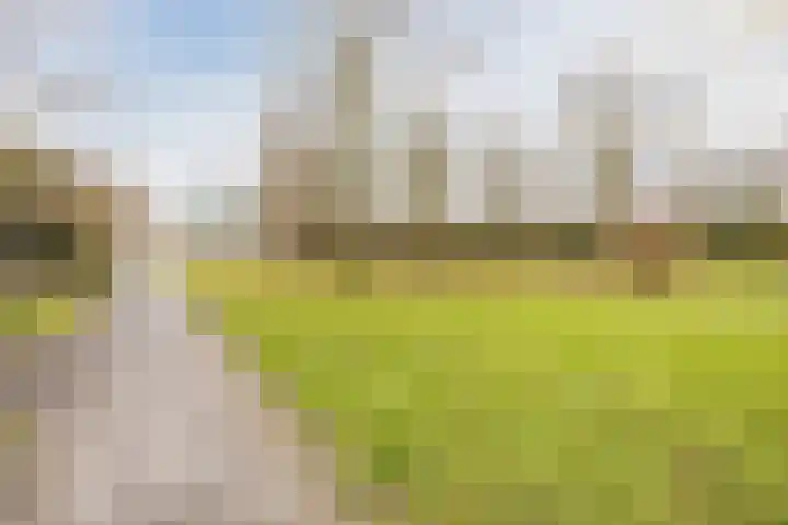 2e Verbindingsstraat 17 Terneuzen thumbnail 23