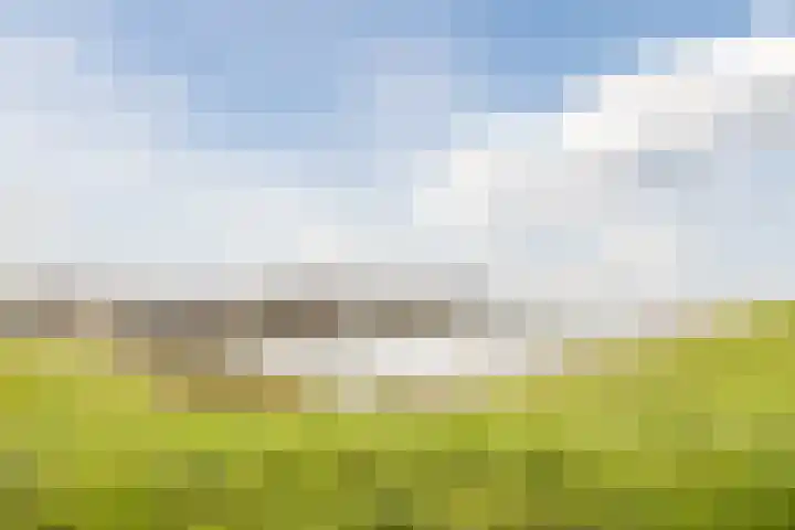2e Verbindingsstraat 17 Terneuzen thumbnail 25