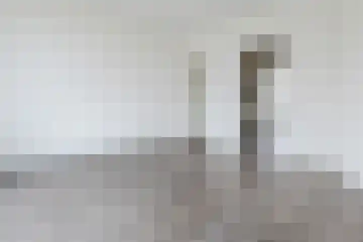 2e Vijverstraat 1 A Rotterdam thumbnail 13
