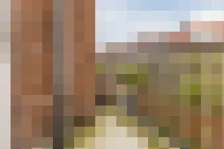 2e Vijverstraat 1 A Rotterdam thumbnail 17