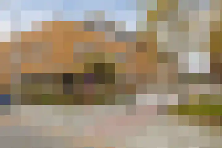 2e Vijverstraat 1 A Rotterdam thumbnail 33