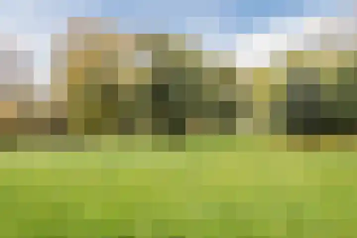 2e Vijverstraat 1 A Rotterdam thumbnail 34