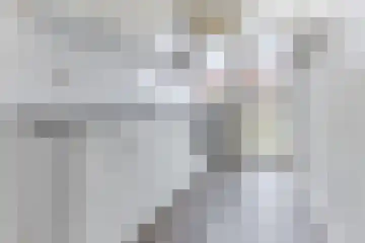 2e Vijverstraat 1 A Rotterdam thumbnail 4