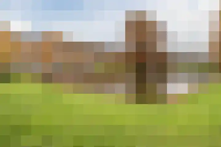 2e Vijverstraat 1 A Rotterdam thumbnail 7