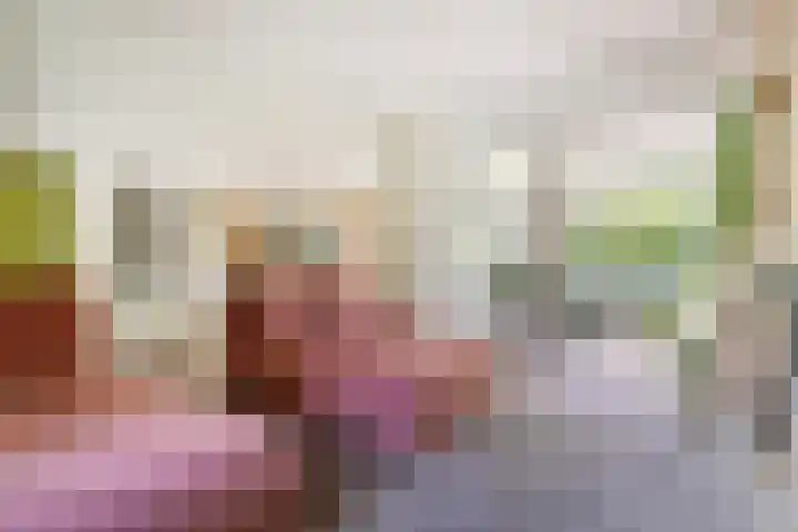 2e Vijverstraat 7 Berlicum thumbnail 10
