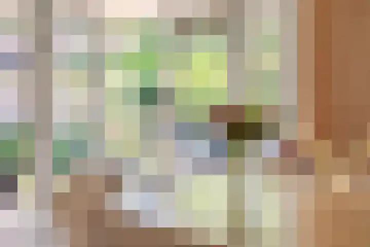 2e Vijverstraat 7 Berlicum thumbnail 11