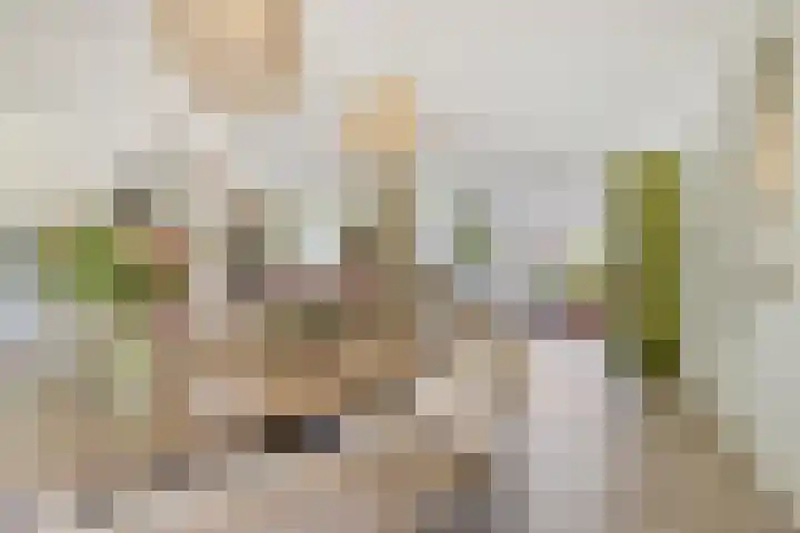 2e Vijverstraat 7 Berlicum thumbnail 12
