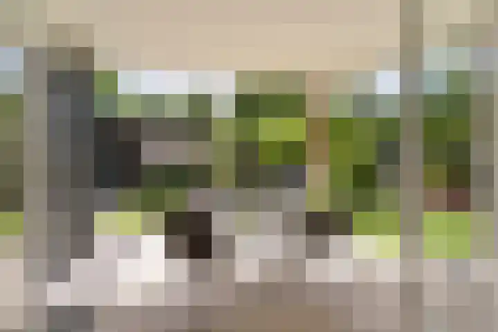 2e Vijverstraat 7 Berlicum thumbnail 13