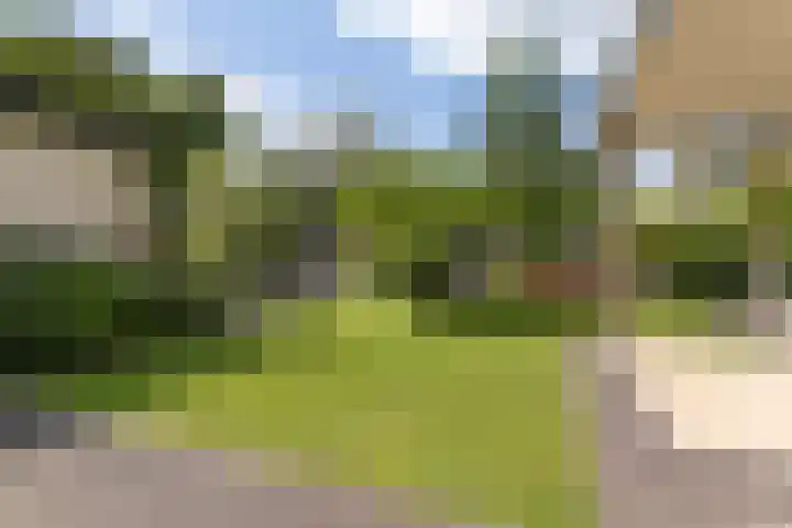 2e Vijverstraat 7 Berlicum thumbnail 14