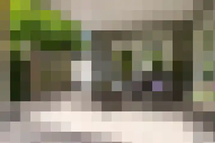2e Vijverstraat 7 Berlicum thumbnail 15