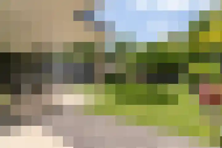 2e Vijverstraat 7 Berlicum thumbnail 16