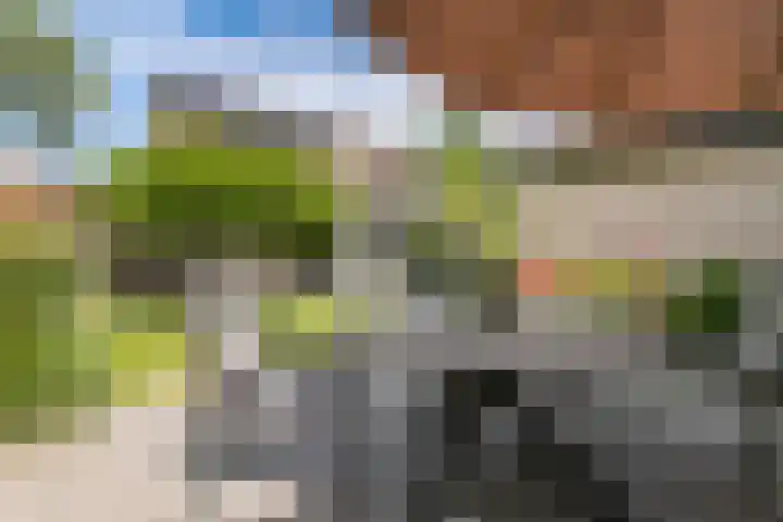 2e Vijverstraat 7 Berlicum thumbnail 19