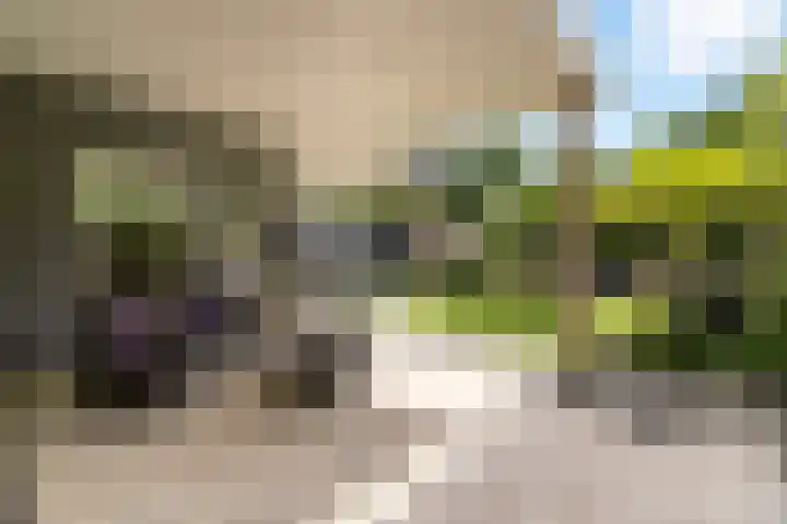 2e Vijverstraat 7 Berlicum thumbnail 20