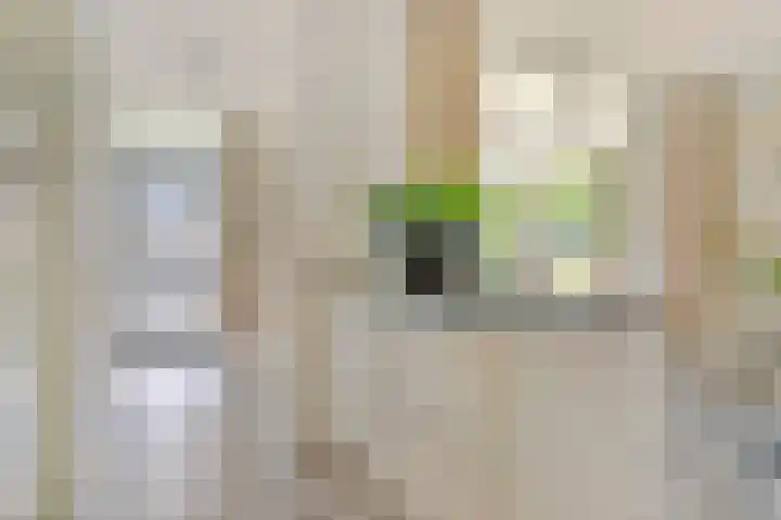 2e Vijverstraat 7 Berlicum thumbnail 21