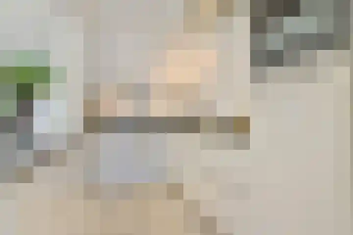 2e Vijverstraat 7 Berlicum thumbnail 23
