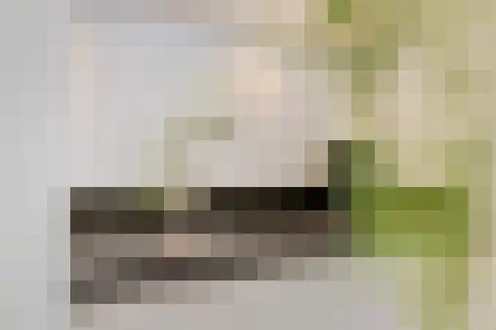 2e Vijverstraat 7 Berlicum thumbnail 25