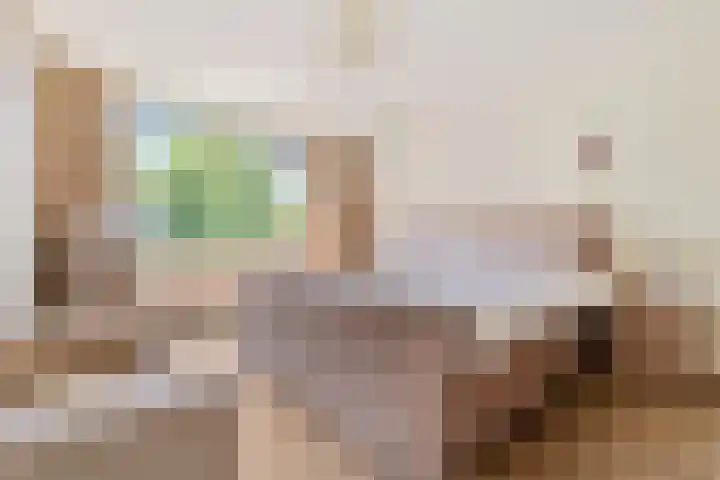 2e Vijverstraat 7 Berlicum thumbnail 29
