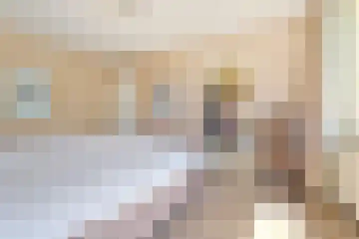 2e Vijverstraat 7 Berlicum thumbnail 30