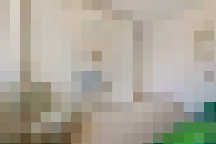 2e Vijverstraat 7 Berlicum thumbnail 32