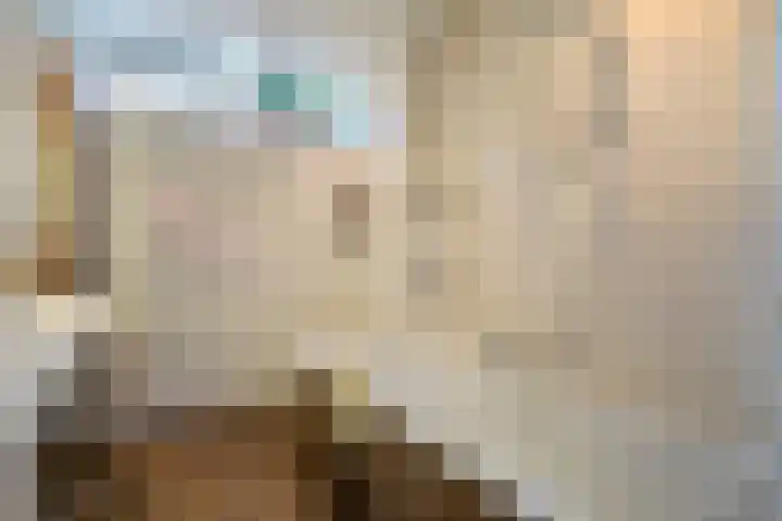 2e Vijverstraat 7 Berlicum thumbnail 33