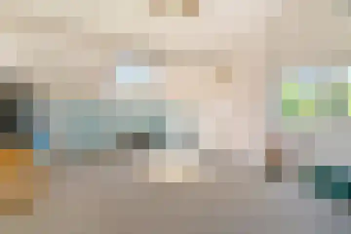 2e Vijverstraat 7 Berlicum thumbnail 37