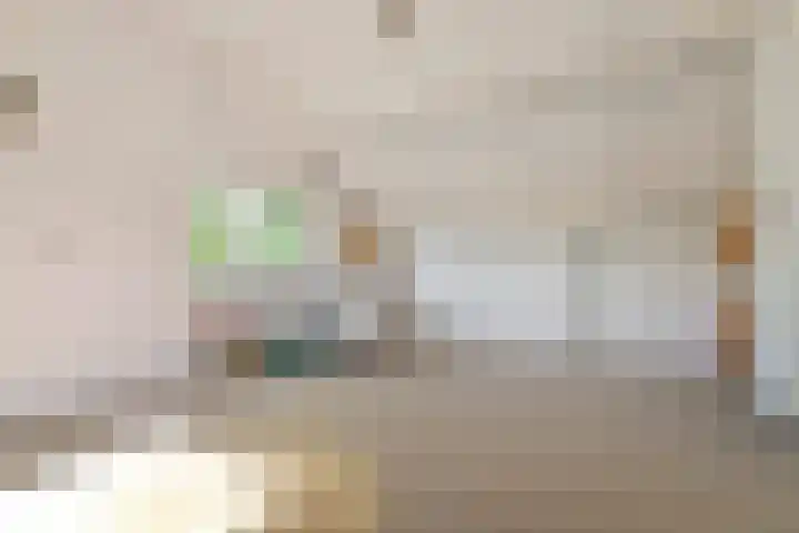 2e Vijverstraat 7 Berlicum thumbnail 38