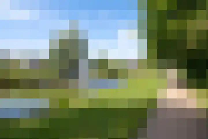 2e Vijverstraat 7 Berlicum thumbnail 4