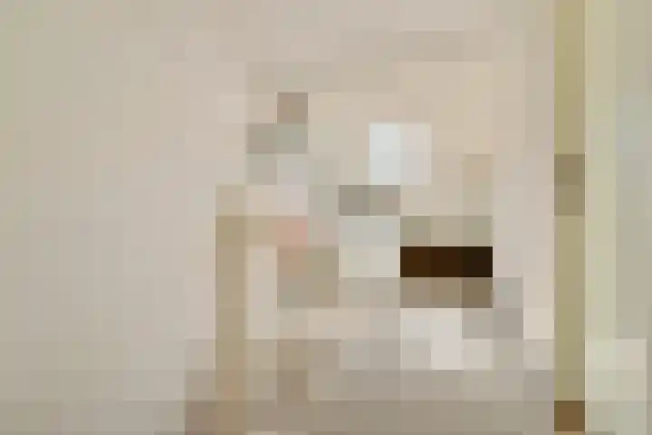 2e Vijverstraat 7 Berlicum thumbnail 40