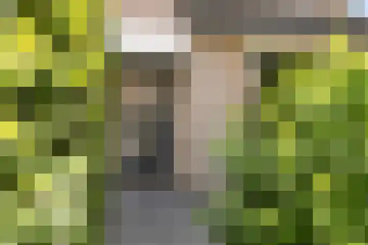 2e Vijverstraat 7 Berlicum thumbnail 41